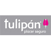 Tulipan